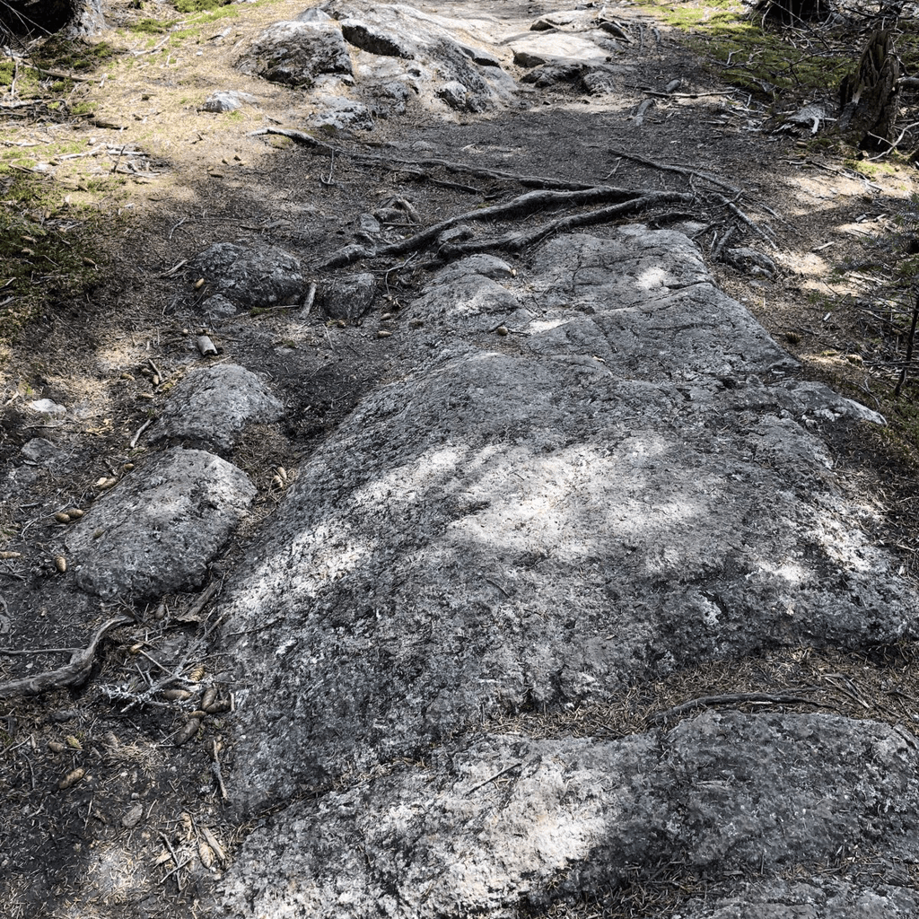 Two hikers ascending a rocky trail in the White Mountains